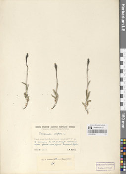 LE 01290186