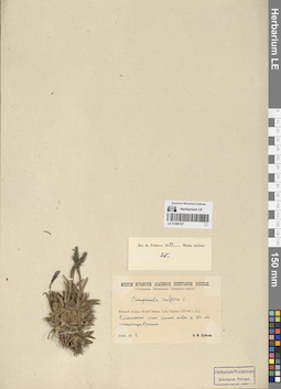 LE 01290187