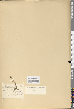 LE 01290192
