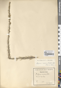 LE 01290266