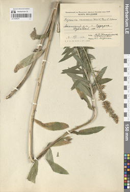 LE 01290279