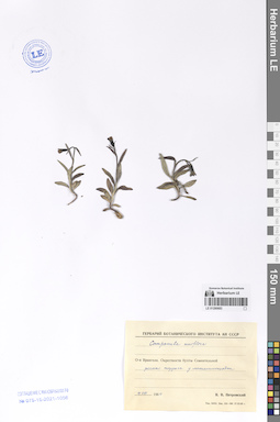 LE 01290683