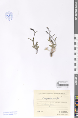 LE 01290689