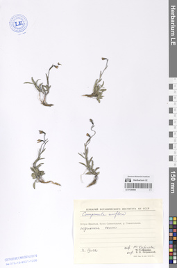 LE 01290694