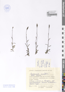 LE 01290698
