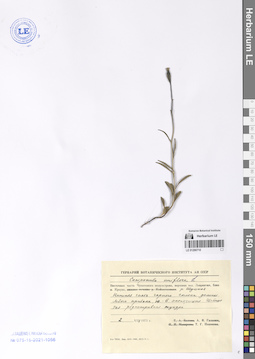 LE 01290710