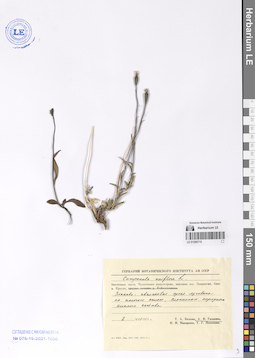 LE 01290715