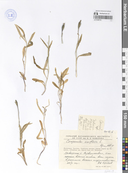 LE 01290718