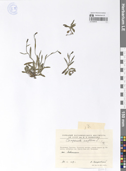 LE 01290720