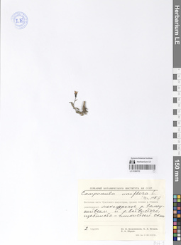 LE 01290732