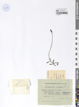 LE 01290737