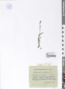 LE 01290742
