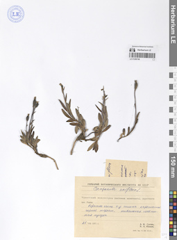 LE 01290746