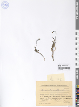 LE 01290759