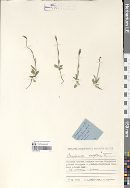 LE 01290770