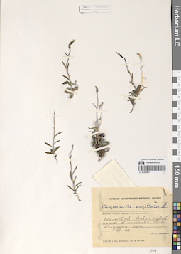 LE 01290801
