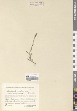 LE 01290802