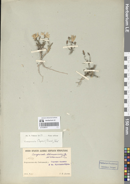 LE 01290313
