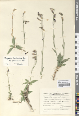LE 01290336