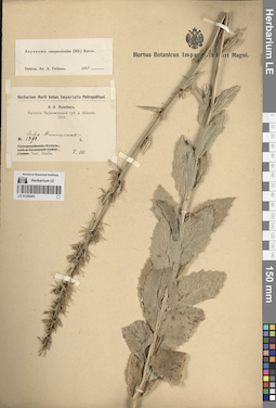 LE 01290493