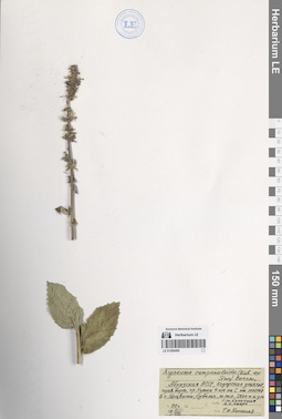 LE 01290495