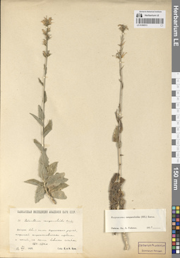 LE 01290513