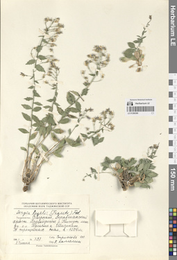 LE 01290389