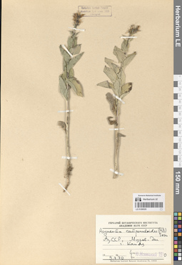 LE 01290525