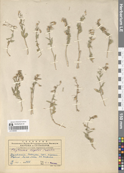 LE 01290402