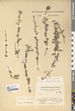 LE 01290403