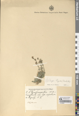 LE 01290404