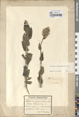 LE 01290535