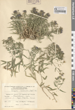 LE 01290412