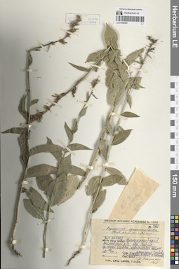 LE 01290605