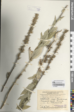 LE 01290609