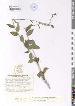 LE 01290626