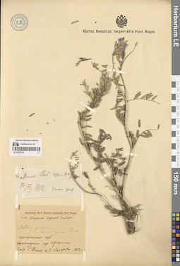 LE 01293129