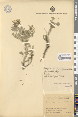 LE 01293138