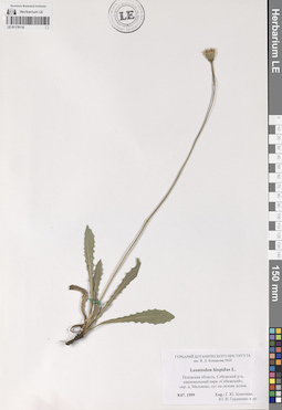 LE 01178110