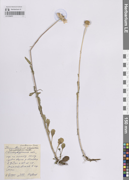 LE 01204872