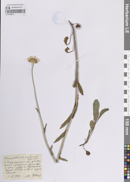 LE 01204874