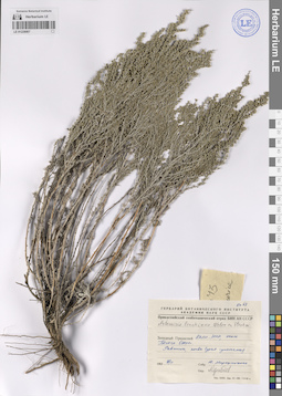 LE 01228067