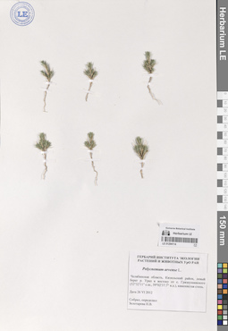 LE 01294114