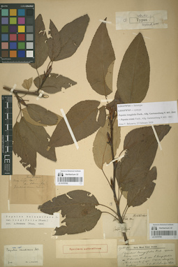 LE 01070765
