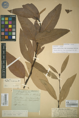 LE 01070767