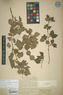 LE 01070768