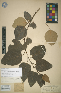 LE 01070769
