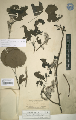 LE 01070770