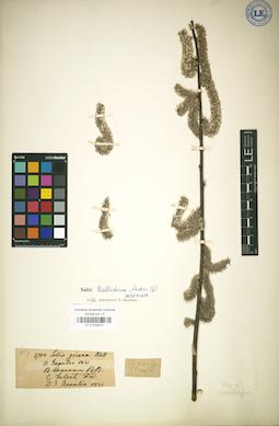 LE 01039472