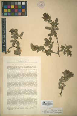 LE 01044748